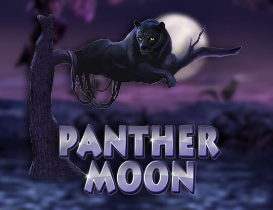 Panther Moon